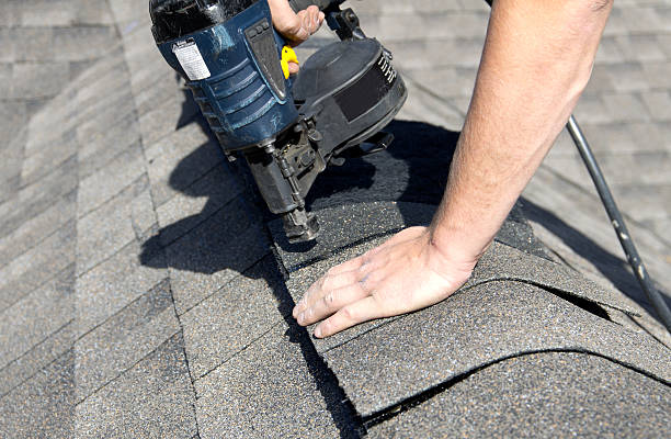 Best Skylight Installation and Repair  in Longbranch, WA
